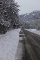 ambient light, day, diffuse, diffused light, eye level view, Italia , morning, natural light, overcast, road, snow, tree, Veneto, winter