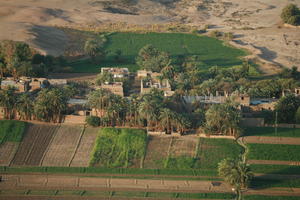 aerial view, dusk, East Timor, Egypt, Egypt, field, palm, tree, vegetation