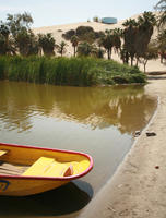 day, desert, direct sunlight, eye level view, Ica, palm, Peru, pond, reed, spring, sunlight, sunny, sunshine, vegetation