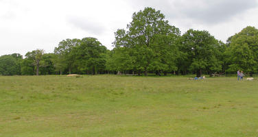 day, diffuse, diffused light, England, eye level view, grass, London, natural light, park, spring, The United Kingdom, treeline