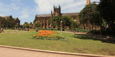 Australia, day, eye level view, flower, New South Wales, park, summer, sunny, Sydney, tree, vegetation