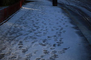 dusk, England, London, lowered, path, The United Kingdom, winter