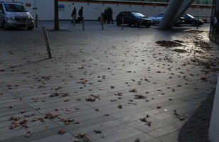 afternoon, autumn, day, England, eye level view, leaf, London, pavement, The United Kingdom