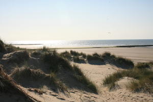 beach, Belgium, day, dunes, eye level view, grass, summer, sunny