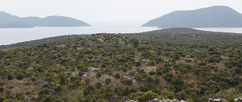 autumn, Croatia, day, diffuse, diffused light, elevated, mountain, shrubland