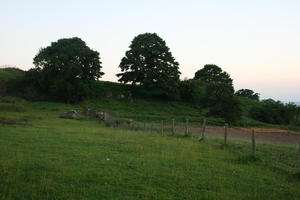 countryside, day, eye level view, field, grass, natural light, summer, The United Kingdom, tree, Wales