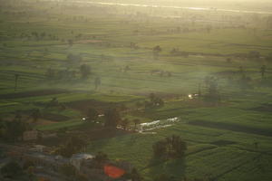 aerial view, dusk, East Timor, Egypt, Egypt, field, palm, vegetation