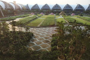 Bangkok, building, dusk, elevated, garden, grass, Krung Thep Mahanakhon, pavement, potted plant, Thailand