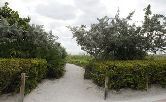 bush, day, diffuse, diffused light, eye level view, Florida, Miami, path, shrub, shrubbery, summer, The United States