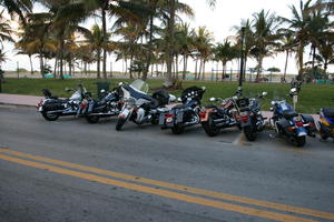 bright, day, eye level view, Florida, Miami, motorcycle, palm, park, road, The United States, transport, tropical, vegetation