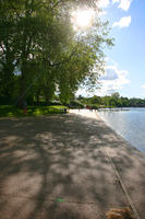 broad-leaf tree, broad-leaved tree, day, England, eye level view, London, park, pavement, summer, sunny, The United Kingdom