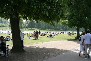 day, eye level view, France, group, Ile-De-France, landmarks, Palace of Versailles, Paris, park, path, people, sitting, spring, summer, summer, sunny, tree, trunk, walking