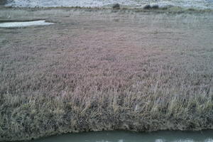 Croatia, day, diffuse, diffused light, elevated, grassland, natural light, slough, Splitsko-Dalmatinska, winter