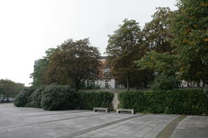 afternoon, bench, Braunschweig, bush, day, Deutschland, eye level view, natural light, Niedersachsen, park, pavement, summer, tree, vegetation