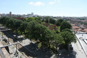 broad-leaf tree, broad-leaved tree, day, direct sunlight, elevated, park, Porto, Porto, Portugal, shady, spring, sunny, tramlines