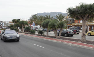 car, day, Denia, diffuse, diffused light, eye level view, natural light, palm, Phoenix roebelinii, Spain, spring, street, Valenciana