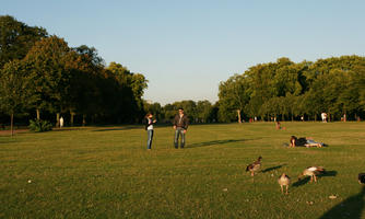 afternoon, bird, broad-leaf tree, broad-leaved tree, couple, day, England, eye level view, geese, grass, London, park, people, standing, summer, sunny, The United Kingdom