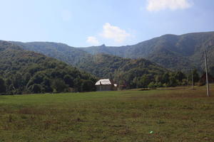 Croatia, day, eye level view, field, grass, Karlovacka, mountain, sunny, woodland