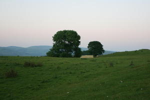 countryside, dusk, eye level view, field, grass, natural light, summer, The United Kingdom, tree, vegetation, Wales