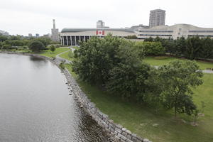 broad-leaf tree, broad-leaved tree, Canada, day, diffuse, diffused light, elevated, Ontario, Ottawa, park, river, summer