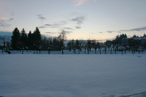 ambient light, dusk, eye level view, Italia , Mondovi, overcast, Piemonte, snow, tree, winter