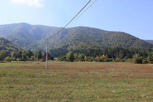 Croatia, day, eye level view, field, grass, Karlovacka, mountain, sunny, woodland