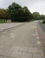 afternoon, Braunschweig, day, Deutschland, eye level view, natural light, Niedersachsen, pavement, slate, summer, tree, vegetation