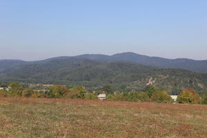 Croatia, day, eye level view, field, grass, Karlovacka, mountain, sunny, woodland