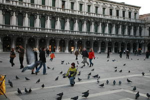 bird, building, casual, child, day, dusk, eye level view, group, Italia , people, Piazza San Marco, pidgeons, square, Veneto, Venice, winter