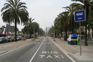 Barcelona, Cataluña, day, diffuse, diffused light, eye level view, natural light, palm, Phoenix canariensis, sign, Spain, spring, street