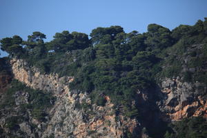 Croatia, day, eye level view, mountain, summer, tree, vegetation, woodland