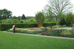 day, England, eye level view, flower, garden, grass, natural light, park, plant, The United Kingdom, Woking