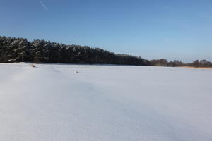 afternoon, bright, day, eye level view, field, Poland, snow, sunny, treeline, Wielkopolskie, winter, woodland