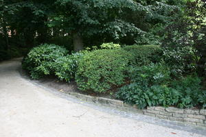 bush, cloudy, day, eye level view, park, summer, tree, walkway