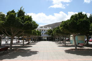 broad-leaf tree, broad-leaved tree, Canarias, day, direct sunlight, eye level view, Las Palmas, pavement, Spain, spring, square, sunny