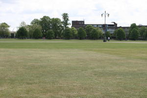 afternoon, bright, Cambridge, day, England, eye level view, grass, lawn, spring, The United Kingdom, tree, vegetation