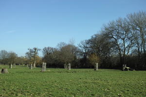 day, England, eye level view, grass, London, park, sunny, The United Kingdom, tree