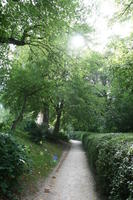 Belgium, Brussels, day, eye level view, grass, hedge, natural light, park, path, summer, tree, vegetation