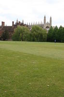 afternoon, Cambridge, day, England, eye level view, grass, lawn, spring, The United Kingdom, tree, vegetation, weeping willow