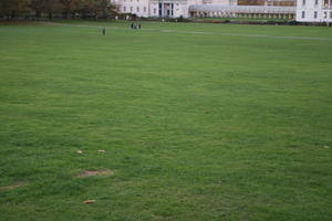 ambient light, day, diffuse, diffused light, England, eye level view, grass, lawn, London, park, The United Kingdom