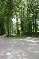 day, eye level view, France, Ile-De-France, landmarks, Palace of Versailles, Paris, park, path, pavement, spring, summer