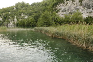 Croatia, day, diffuse, diffused light, eye level view, Karlovacka, lake, natural light, reed, summer