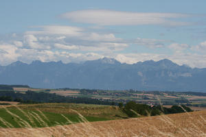 crop, day, elevated, Lausanne, mountain, natural light, summer, sunny, Switzerland, tree, valley, Vaud, vegetation