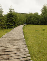 bridge, Croatia, day, diffuse, diffused light, eye level view, grass, Karlovacka, natural light, path, summer, woodland