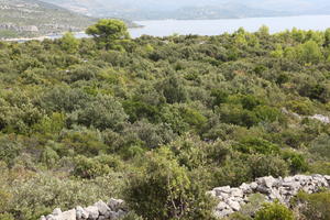 autumn, Croatia, day, diffuse, diffused light, elevated, mountain, shrubland