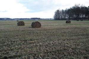 ambient light, cloudy, countryside, day, eye level view, field, haystack, open space, Poland, treeline, Wielkopolskie, winter, Wolsztyn