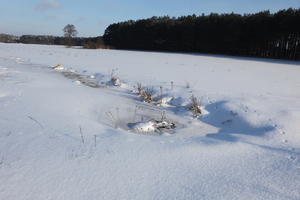 afternoon, bright, day, eye level view, field, Poland, snow, sunny, treeline, Wielkopolskie, winter, woodland