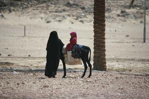 child, day, desert, donkey, East Timor, Egypt, Egypt, eye level view, middleastern, natural light, sunny, walking, woman