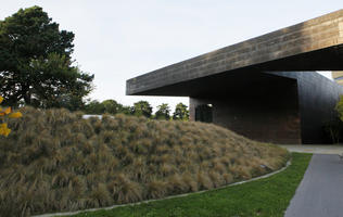 autumn, California, day, diffuse, diffused light, eye level view, grass, park, San Francisco, The United States