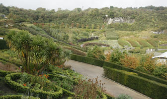 autumn, bush, day, diffuse, diffused light, Eden Project, elevated, England, garden, hedge, palm, shrub, The United Kingdom